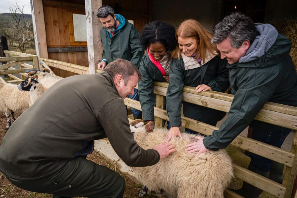 Meeting the flock