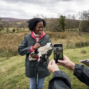 The Sheep Experience